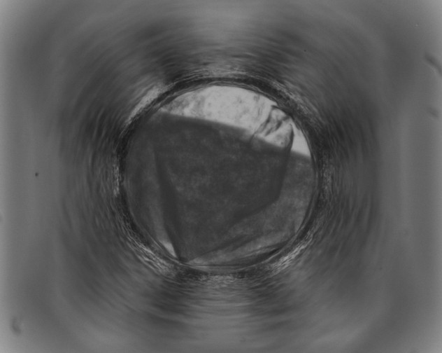 X0000097811306200804041327