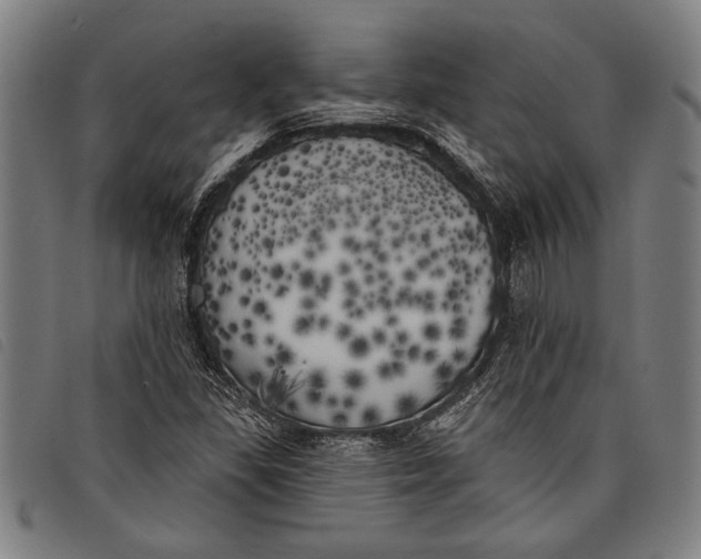 X0000097811309200804041327