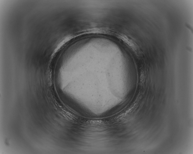 X0000097811310200804041327