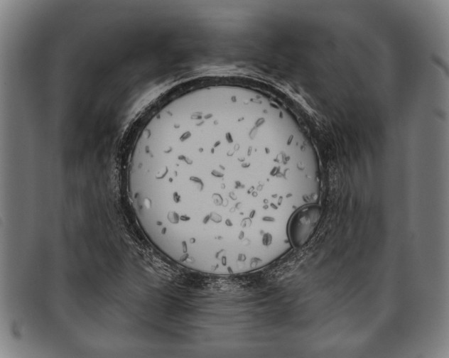 X0000097811311200804041327