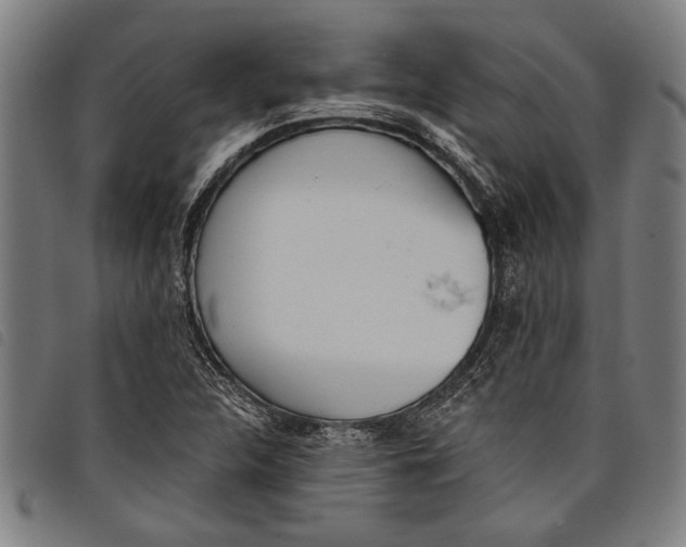 X0000097811312200804041327