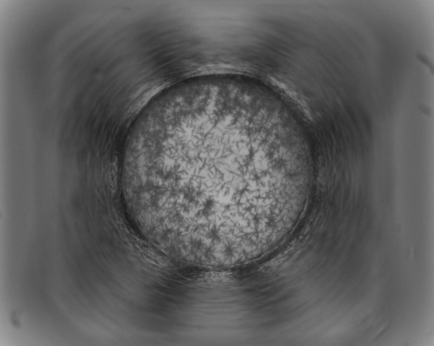 X0000097811313200804041327