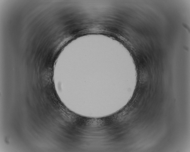 X0000097811314200804041327