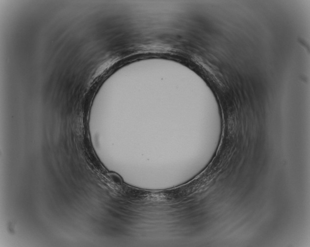 X0000097811315200804041327