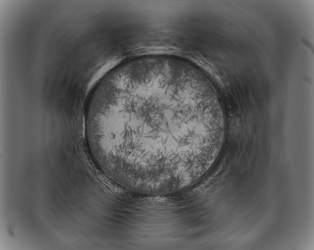 X0000097811317200804041328