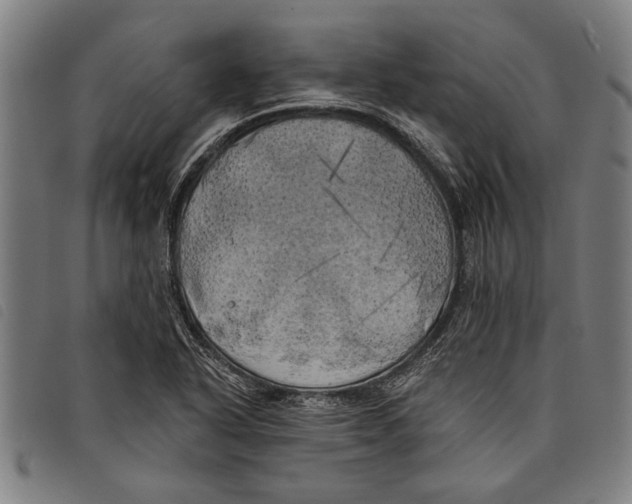 X0000097811318200804041328