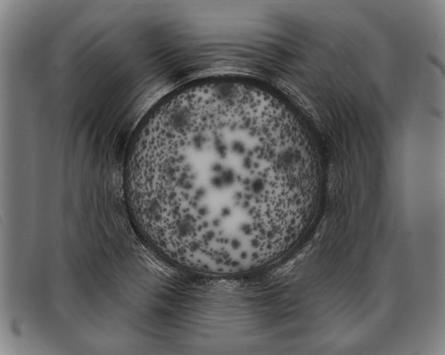 X0000097811321200804041328