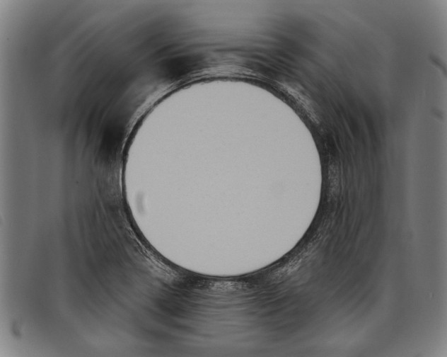 X0000097811322200804041328