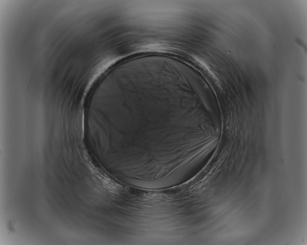 X0000097811323200804041328