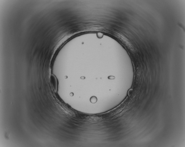 X0000097811324200804041328