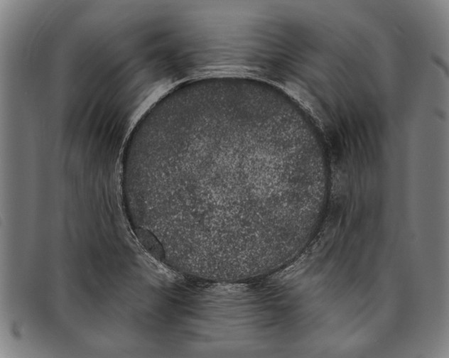 X0000097811325200804041328