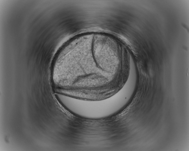 X0000097811326200804041328