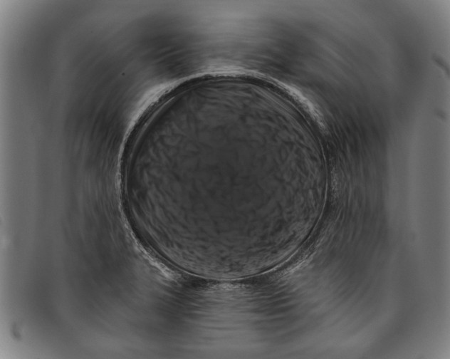 X0000097811327200804041328