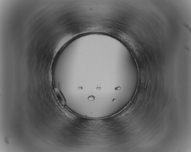 X0000097811328200804041328