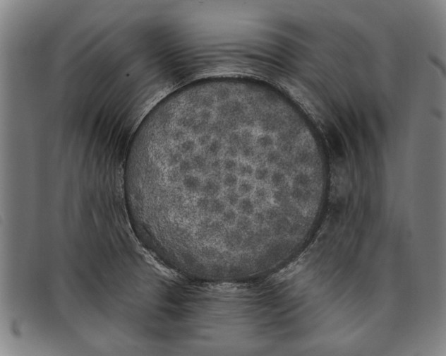 X0000097811329200804041328