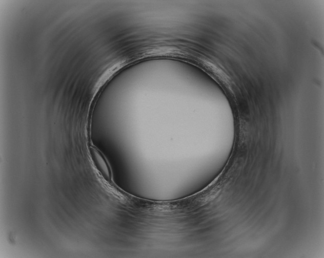 X0000097811330200804041328