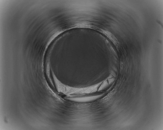 X0000097811331200804041328