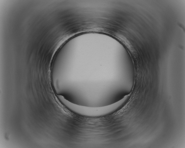 X0000097811332200804041328