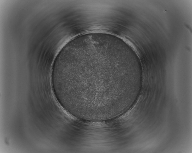 X0000097811333200804041328