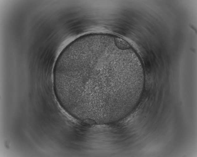 X0000097811335200804041328