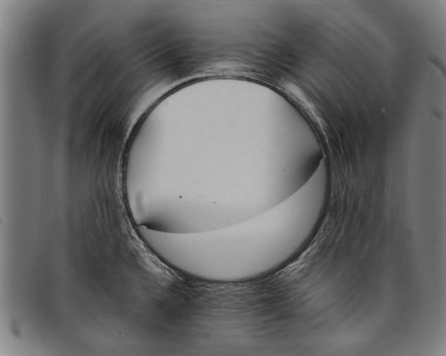 X0000097811336200804041328