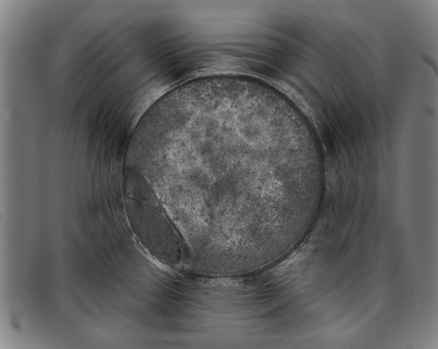 X0000097811337200804041328