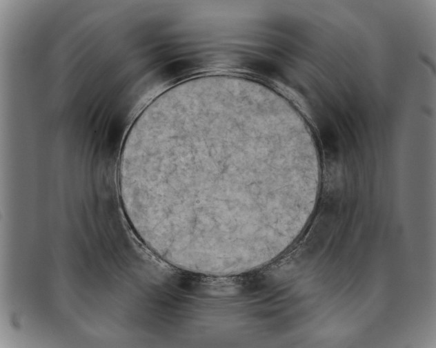 X0000097811338200804041328