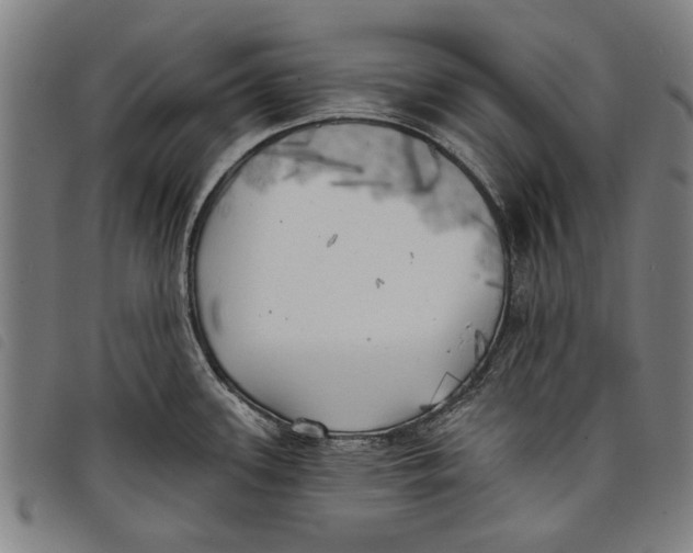 X0000097811339200804041328