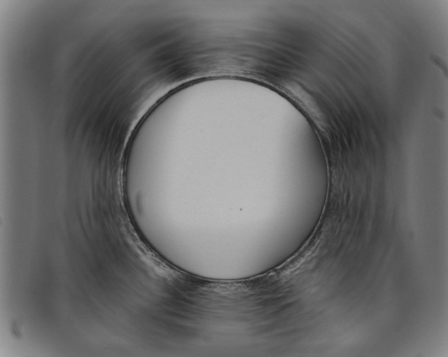 X0000097811340200804041328