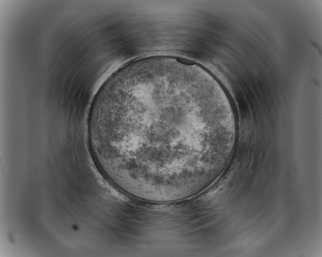 X0000097811341200804041328