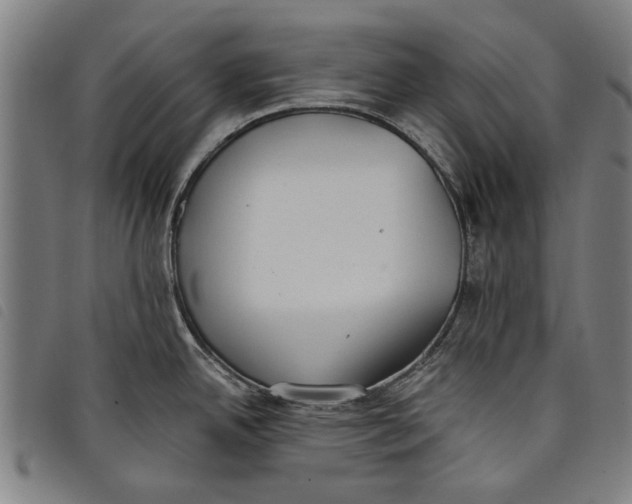 X0000097811342200804041328