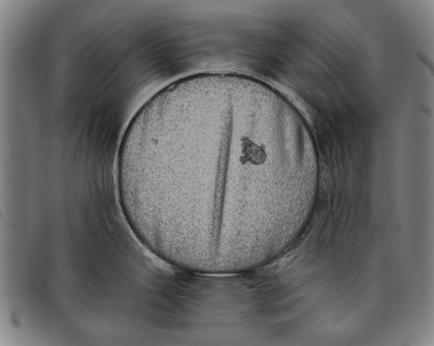 X0000097811343200804041328