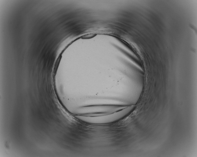 X0000097811344200804041328