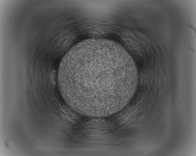 X0000097811346200804041327