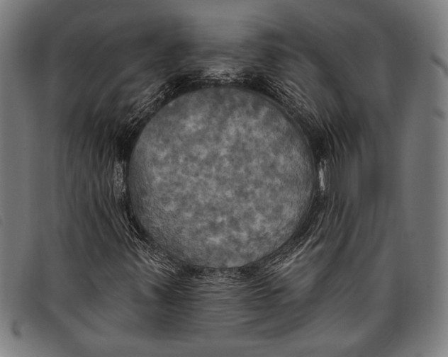 X0000097811347200804041327