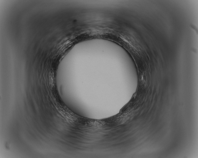 X0000097811348200804041327