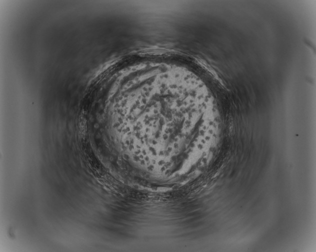 X0000097811350200804041327