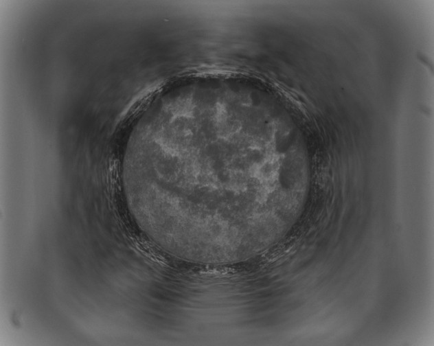 X0000097811351200804041327