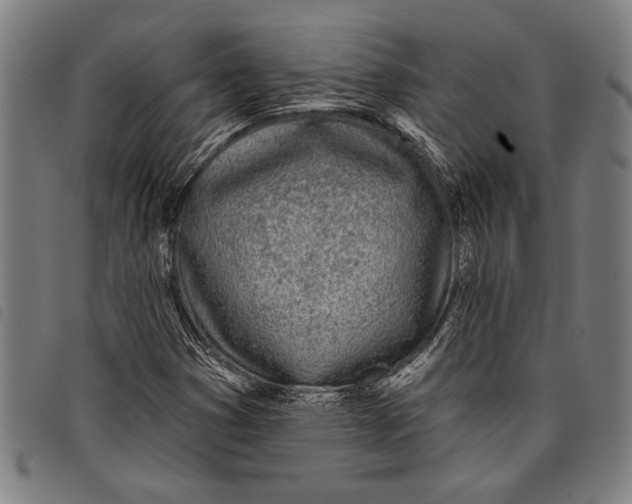 X0000097811353200804041327