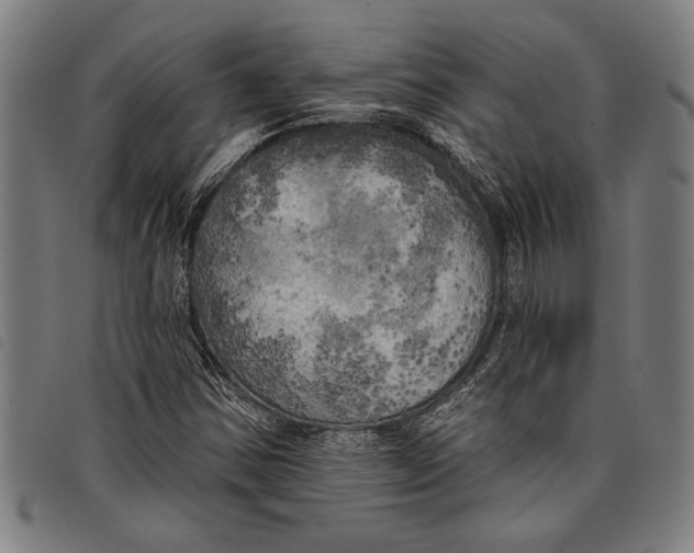 X0000097811354200804041327