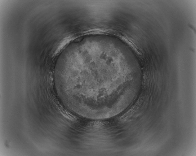 X0000097811355200804041327