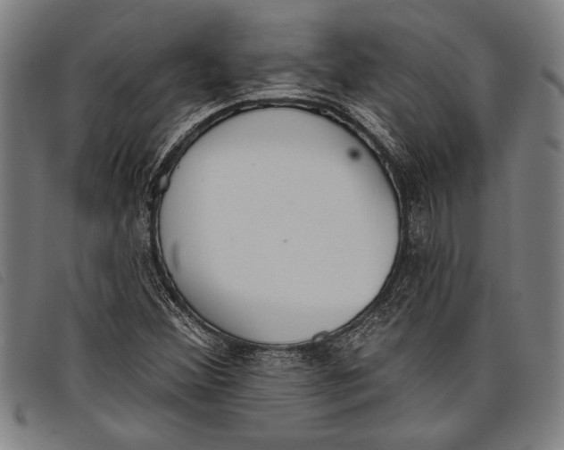 X0000097811356200804041327