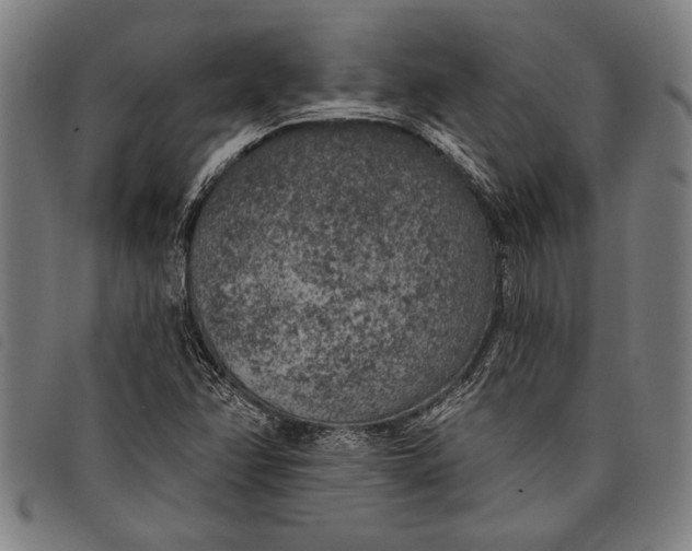 X0000097811358200804041327