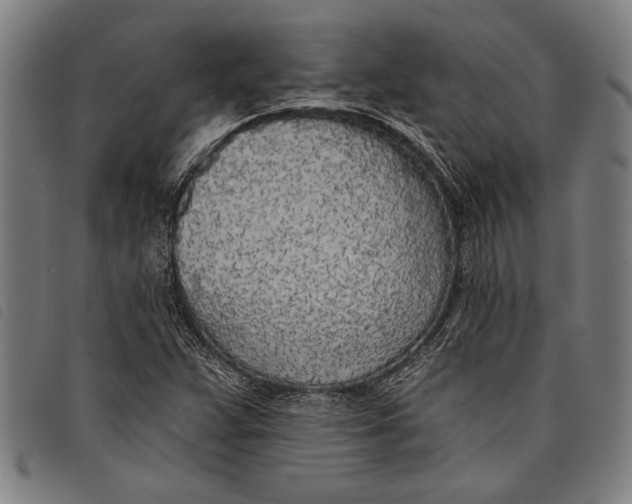 X0000097811359200804041327