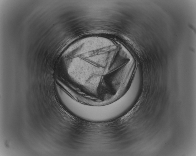 X0000097811361200804041327