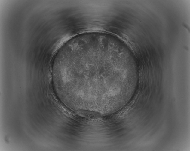 X0000097811363200804041327