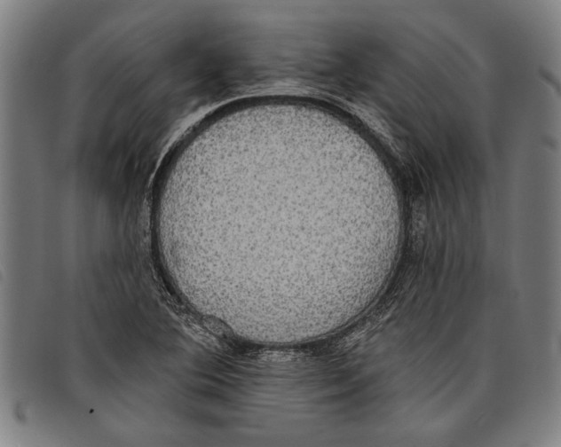 X0000097811364200804041327