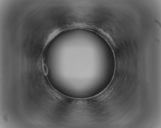 X0000097811365200804041327