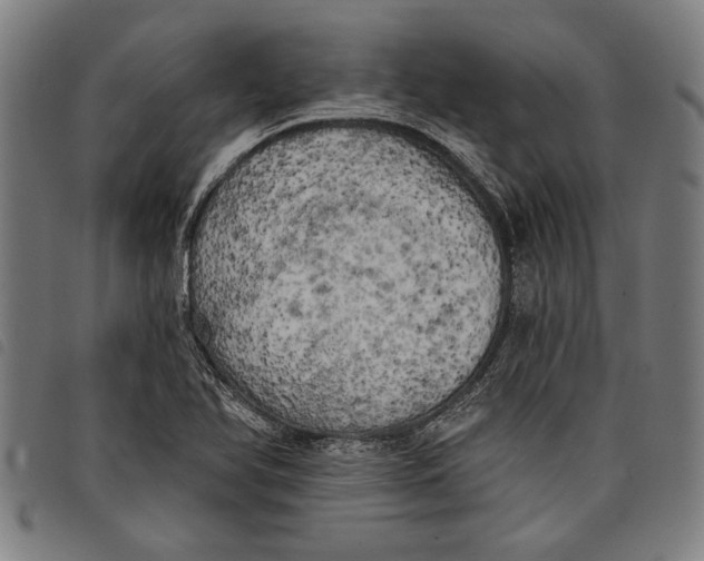 X0000097811366200804041327