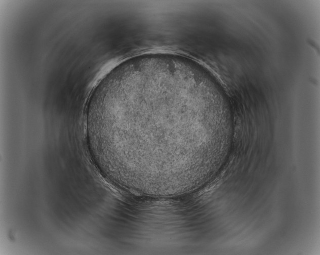 X0000097811367200804041327